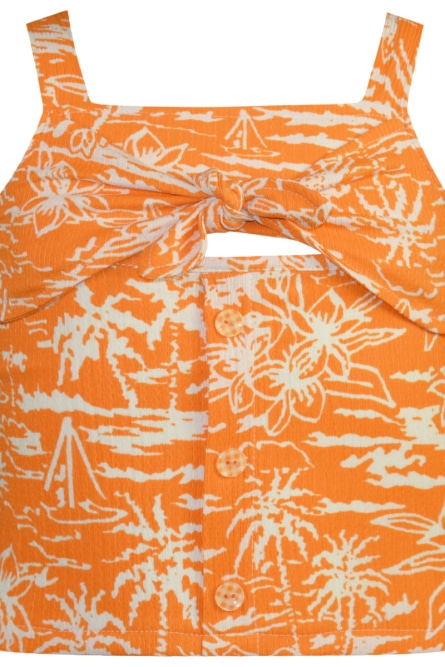 Energiers Floral top
