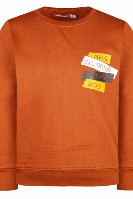 Energiers Βαμβακερή φούτερ μπλούζα αχνούδιαστη σε διάφορα χρώματα